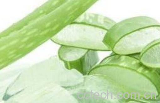 吃芦荟有什么好处-1