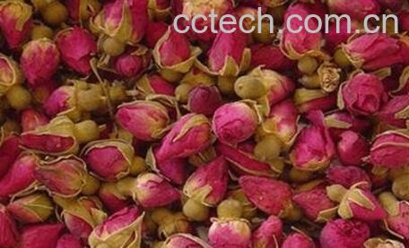 干玫瑰花的功效与作用-1