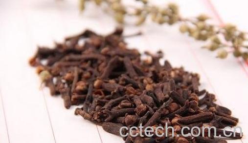 丁香香料的养殖方法-0