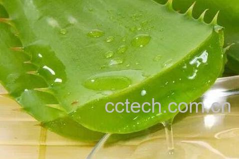 芦荟胶的功效与作用 芦荟胶的药用价值-1
