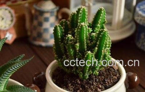  万重山的作用-0