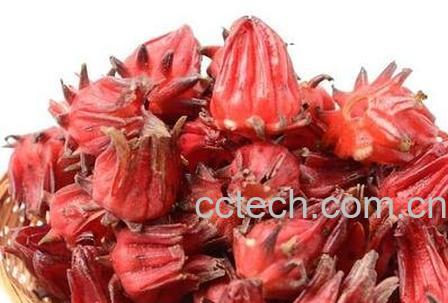 洛神花的食用方法-0