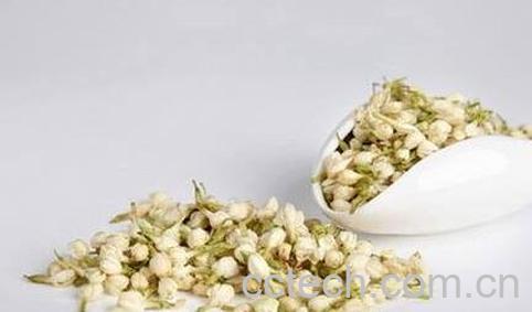 茉莉花药用价值-0