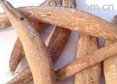 紫茉莉根的功效与作用-0