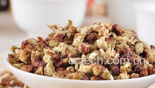 白梅花的功效与作用-0