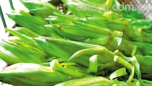 霸王花的功效-0