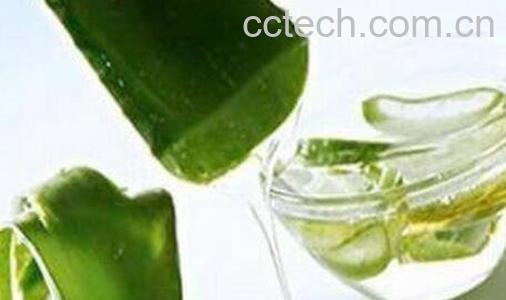 芦荟的神奇功效与用法-0