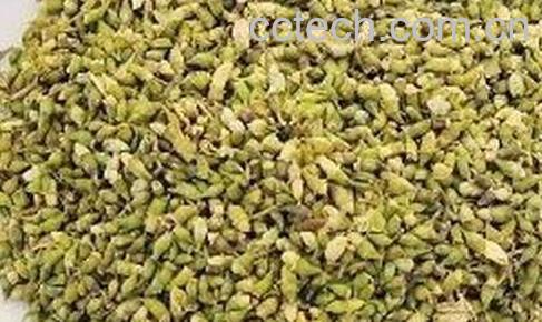 果蔬百科干槐花的功效与作用-0