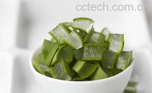 果蔬百科食用芦荟的功效与作用-0