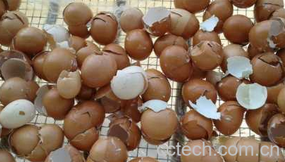 果蔬百科花卉的施肥技巧-0