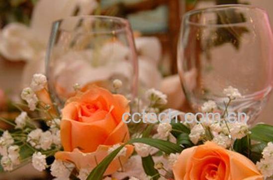 果蔬百科酒杯花的药用价值与功效-0