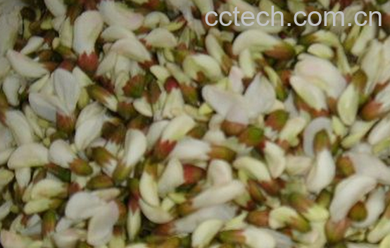 果蔬百科槐花的药用功效-0