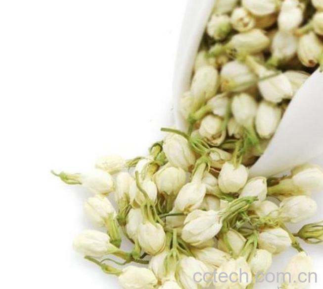 果蔬百科茉莉花的功效及食用方法-0