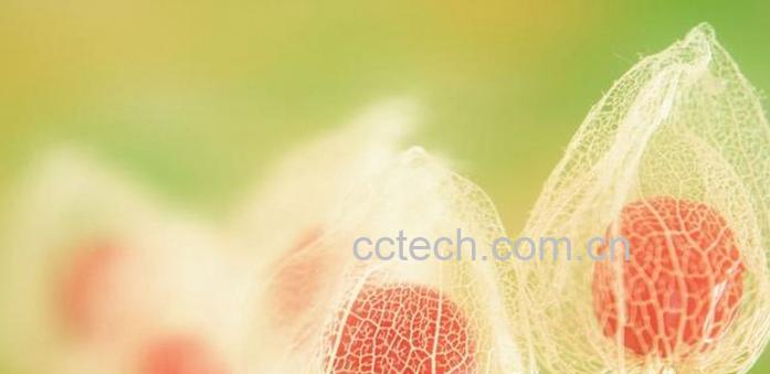 果蔬百科酸浆的功效与作用-0