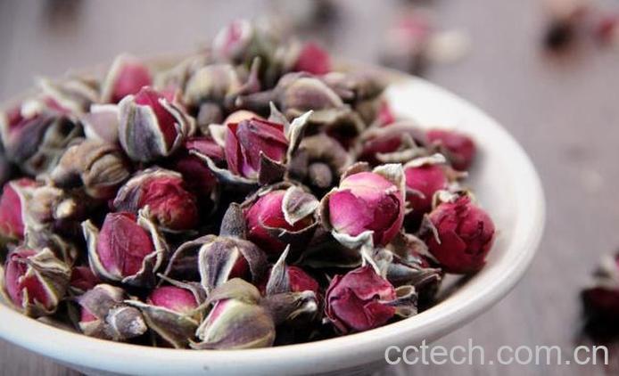 果蔬百科金边玫瑰的养殖方法技巧-0