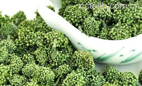 果蔬百科三七花的常见吃法-0