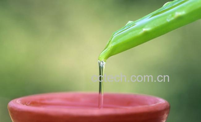 果蔬百科芦荟汁的功效与作用-0
