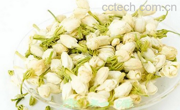 果蔬百科茉莉花的健康吃法-0
