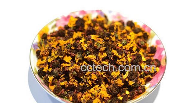 果蔬百科雪菊的功效与作用-0