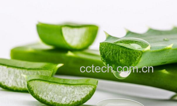 果蔬百科芦荟能美容-0