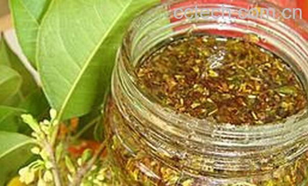 果蔬百科桂花蜜-0