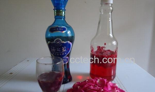 果蔬百科玫瑰花泡酒-0