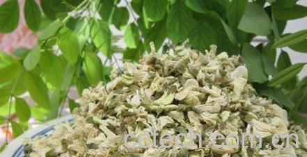 果蔬百科槐花的功效与作用-0