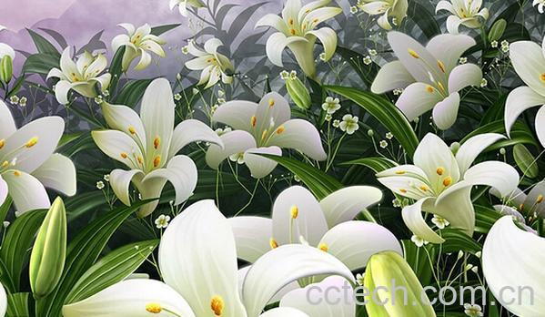 果蔬百科百合花药用功效-0