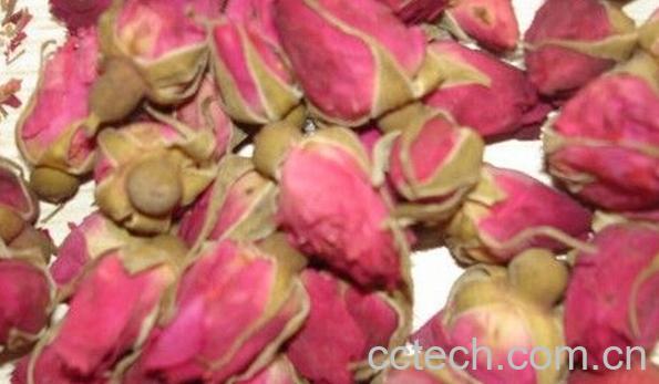 果蔬百科玫瑰花药用功效-0