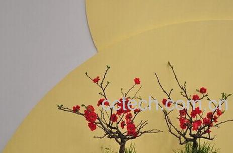 果蔬百科腊梅花-0