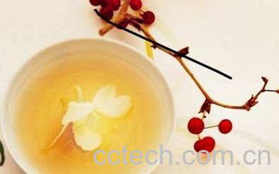 果蔬百科冬季花-0