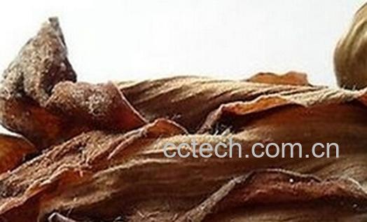 果蔬百科木棉根-0