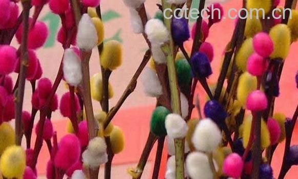 果蔬百科银芽柳-0