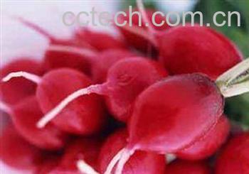 果蔬百科红怒涛-0