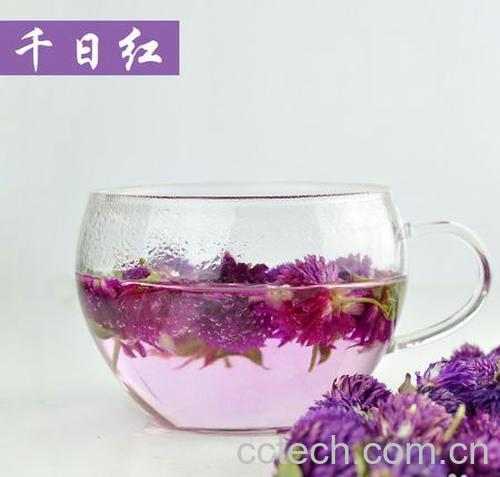 果蔬百科千日红-0