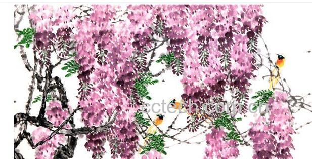 果蔬百科紫藤花-0