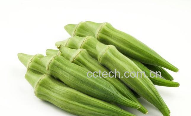 果蔬百科 秋葵的功效和营养价值 秋葵食用方法-0