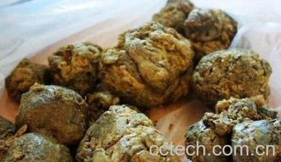 蜂胶的作用与功效-1