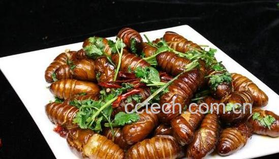 蚕蛹的营养价值与食用功效-1