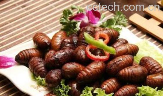 男性吃蚕蛹的好处-1