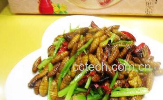 金丝蛹的营养价值和禁忌 什么人不能吃金丝蛹-1