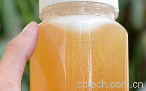 丹参蜜的功效与作用及禁忌-1