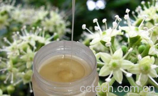 鸭脚木蜂蜜的功效与作用禁忌-0