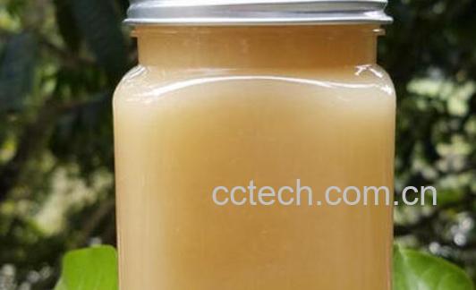 鸭脚木蜂蜜的功效与作用禁忌-1