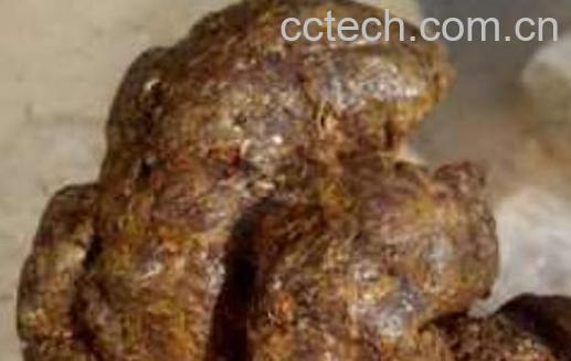 原始蜂胶图片 原始蜂胶的正确吃法-0