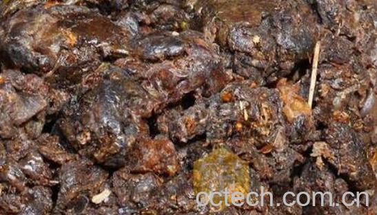 原始蜂胶图片 原始蜂胶的正确吃法-1