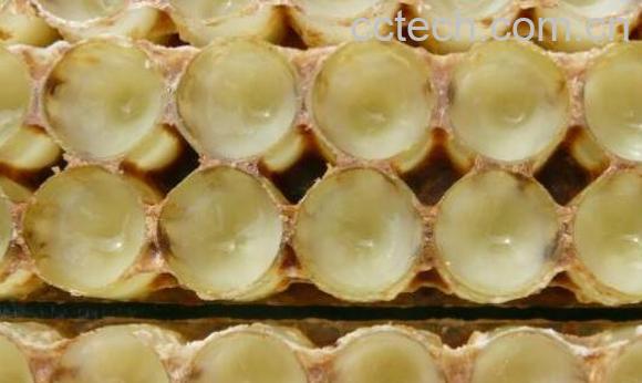 常吃蜂王浆对身体有什么好处-1