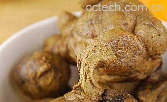 自家蜂胶怎么处理可以吃 蜂胶的功效-0