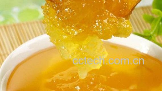 怎样自制柑橘蜜 柑橘蜜的制作方法窍门-1