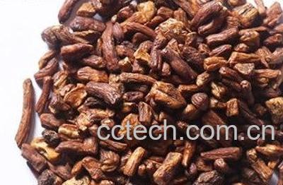  购买蒲公英茶的方法技巧 -0